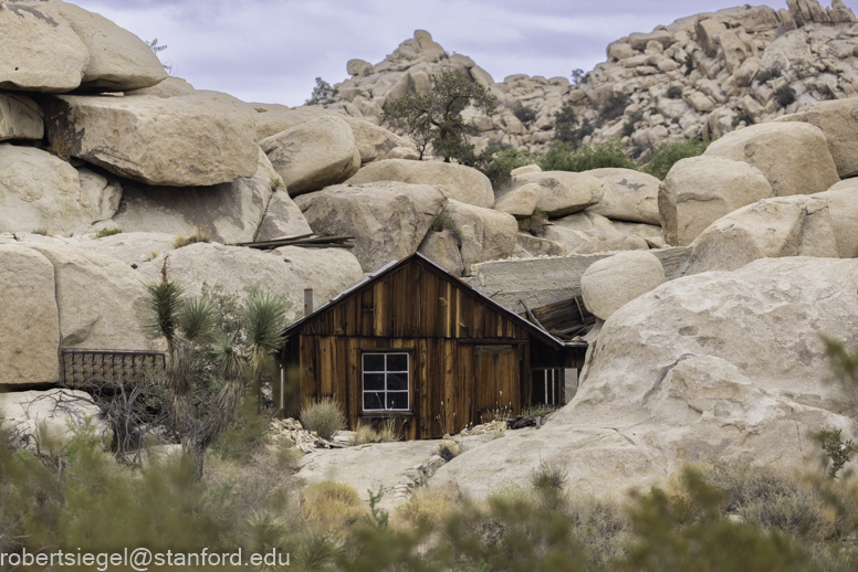 Desert Biogeography of Joshua Tree National Park